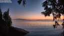 ./images/koeye/fitz-hugh/20250825/fitz-hugh20250825_210508M.jpg