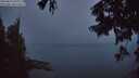 ./images/koeye/fitz-hugh/20250826/fitz-hugh20250826_060011M.jpg