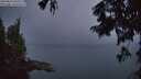 ./images/koeye/fitz-hugh/20250826/fitz-hugh20250826_060509M.jpg