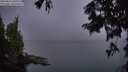 ./images/koeye/fitz-hugh/20250826/fitz-hugh20250826_061011M.jpg