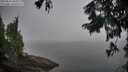 ./images/koeye/fitz-hugh/20250826/fitz-hugh20250826_085011M.jpg