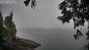 ./images/koeye/fitz-hugh/20250826/fitz-hugh20250826_090011M.jpg