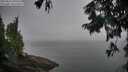 ./images/koeye/fitz-hugh/20250826/fitz-hugh20250826_090510M.jpg
