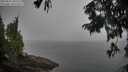 ./images/koeye/fitz-hugh/20250826/fitz-hugh20250826_092509M.jpg