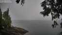 ./images/koeye/fitz-hugh/20250826/fitz-hugh20250826_095007M.jpg
