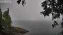 ./images/koeye/fitz-hugh/20250826/fitz-hugh20250826_102510M.jpg