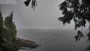./images/koeye/fitz-hugh/20250826/fitz-hugh20250826_112511M.jpg