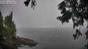 ./images/koeye/fitz-hugh/20250826/fitz-hugh20250826_113510M.jpg