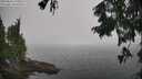 ./images/koeye/fitz-hugh/20250826/fitz-hugh20250826_114511M.jpg