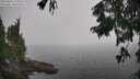 ./images/koeye/fitz-hugh/20250826/fitz-hugh20250826_115011M.jpg