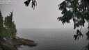 ./images/koeye/fitz-hugh/20250826/fitz-hugh20250826_115510M.jpg