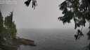 ./images/koeye/fitz-hugh/20250826/fitz-hugh20250826_120510M.jpg