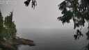 ./images/koeye/fitz-hugh/20250826/fitz-hugh20250826_122510M.jpg