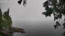 ./images/koeye/fitz-hugh/20250826/fitz-hugh20250826_123009M.jpg