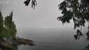 ./images/koeye/fitz-hugh/20250826/fitz-hugh20250826_124010M.jpg