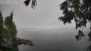 ./images/koeye/fitz-hugh/20250826/fitz-hugh20250826_131010M.jpg