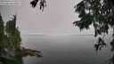 ./images/koeye/fitz-hugh/20250826/fitz-hugh20250826_131511M.jpg