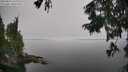 ./images/koeye/fitz-hugh/20250826/fitz-hugh20250826_132011M.jpg