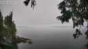 ./images/koeye/fitz-hugh/20250826/fitz-hugh20250826_132510M.jpg