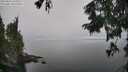 ./images/koeye/fitz-hugh/20250826/fitz-hugh20250826_133509M.jpg