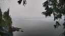 ./images/koeye/fitz-hugh/20250826/fitz-hugh20250826_134008M.jpg