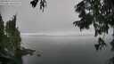 ./images/koeye/fitz-hugh/20250826/fitz-hugh20250826_135511M.jpg