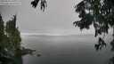./images/koeye/fitz-hugh/20250826/fitz-hugh20250826_140011M.jpg