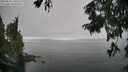 ./images/koeye/fitz-hugh/20250826/fitz-hugh20250826_140509M.jpg