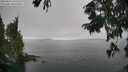 ./images/koeye/fitz-hugh/20250826/fitz-hugh20250826_141510M.jpg