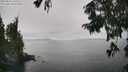 ./images/koeye/fitz-hugh/20250826/fitz-hugh20250826_142510M.jpg