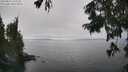 ./images/koeye/fitz-hugh/20250826/fitz-hugh20250826_143012M.jpg