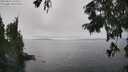 ./images/koeye/fitz-hugh/20250826/fitz-hugh20250826_143510M.jpg