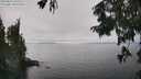 ./images/koeye/fitz-hugh/20250826/fitz-hugh20250826_144011M.jpg