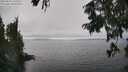 ./images/koeye/fitz-hugh/20250826/fitz-hugh20250826_145510M.jpg