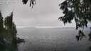 ./images/koeye/fitz-hugh/20250826/fitz-hugh20250826_150012M.jpg
