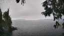 ./images/koeye/fitz-hugh/20250826/fitz-hugh20250826_150508M.jpg