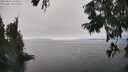 ./images/koeye/fitz-hugh/20250826/fitz-hugh20250826_151009M.jpg