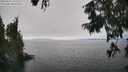 ./images/koeye/fitz-hugh/20250826/fitz-hugh20250826_151510M.jpg