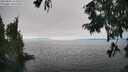 ./images/koeye/fitz-hugh/20250826/fitz-hugh20250826_153010M.jpg