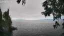 ./images/koeye/fitz-hugh/20250826/fitz-hugh20250826_153510M.jpg