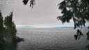 ./images/koeye/fitz-hugh/20250826/fitz-hugh20250826_154010M.jpg