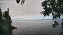 ./images/koeye/fitz-hugh/20250826/fitz-hugh20250826_154511M.jpg