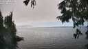 ./images/koeye/fitz-hugh/20250826/fitz-hugh20250826_155010M.jpg