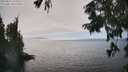 ./images/koeye/fitz-hugh/20250826/fitz-hugh20250826_155509M.jpg