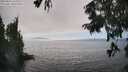 ./images/koeye/fitz-hugh/20250826/fitz-hugh20250826_160010M.jpg