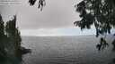 ./images/koeye/fitz-hugh/20250826/fitz-hugh20250826_161010M.jpg