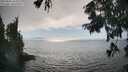 ./images/koeye/fitz-hugh/20250826/fitz-hugh20250826_164008M.jpg