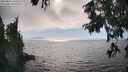 ./images/koeye/fitz-hugh/20250826/fitz-hugh20250826_164510M.jpg