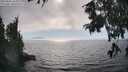 ./images/koeye/fitz-hugh/20250826/fitz-hugh20250826_165011M.jpg