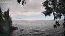 ./images/koeye/fitz-hugh/20250826/fitz-hugh20250826_165510M.jpg